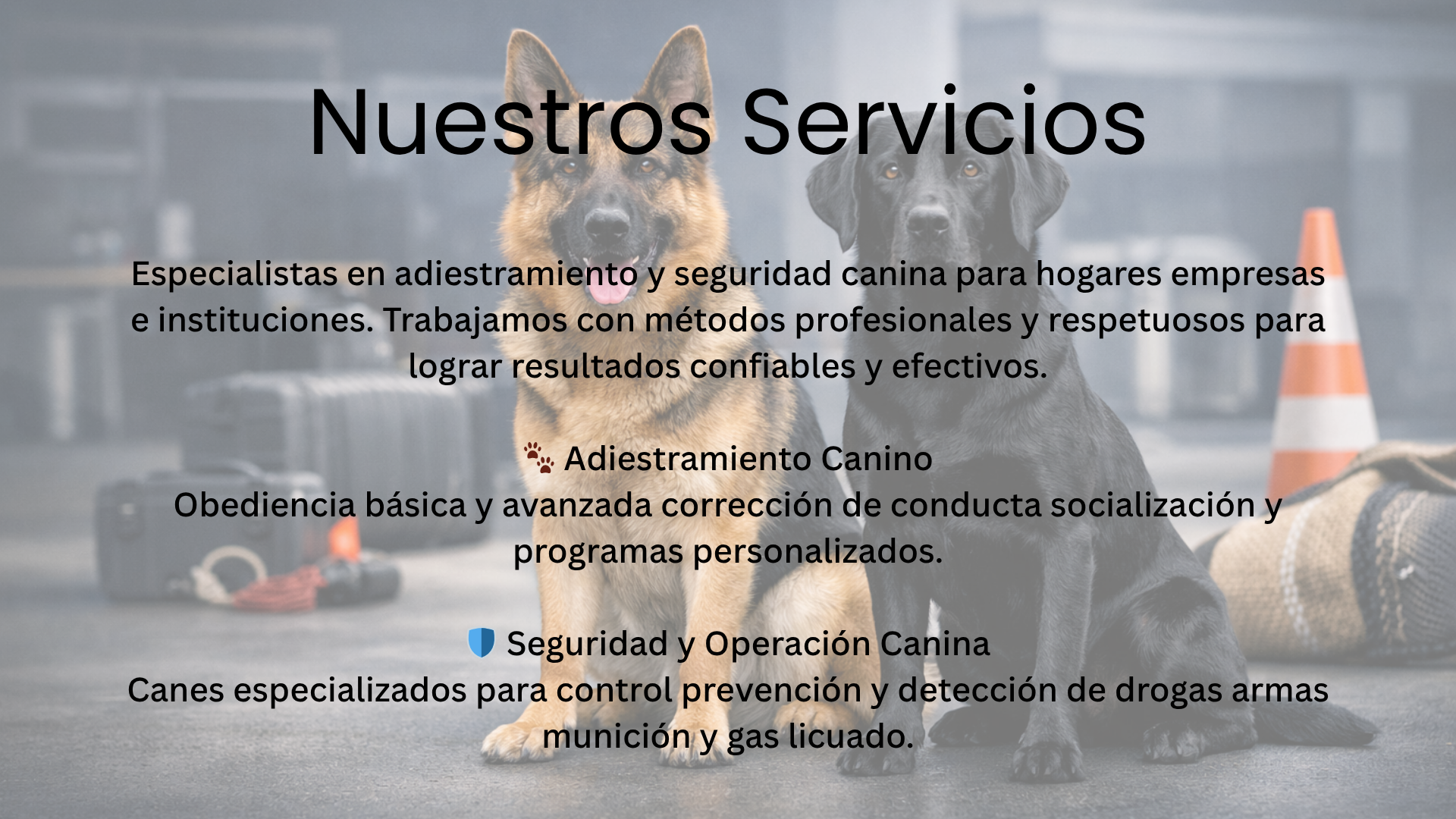 2 pagina web
